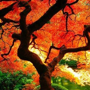 Meet your Posher, Shellie